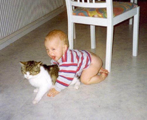jag o vår gamla katt