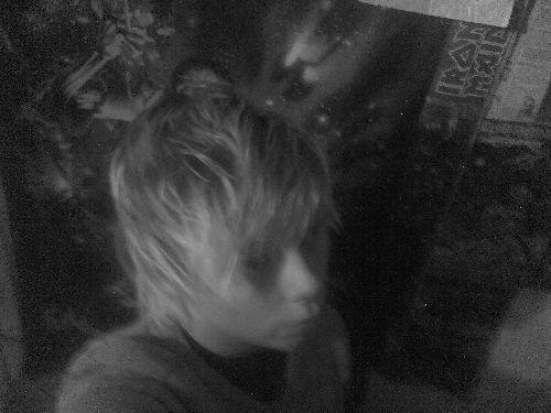 Bild av Steve