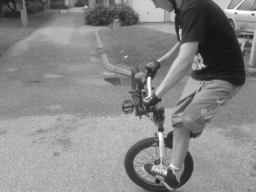 Bild av LPbmx