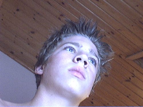 Bild av oscarkillen