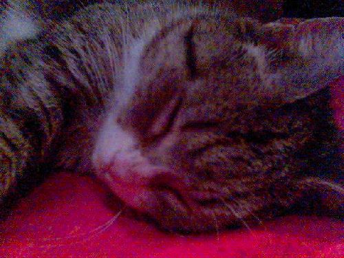 Lilla Nusse<3 saknar dig :´(