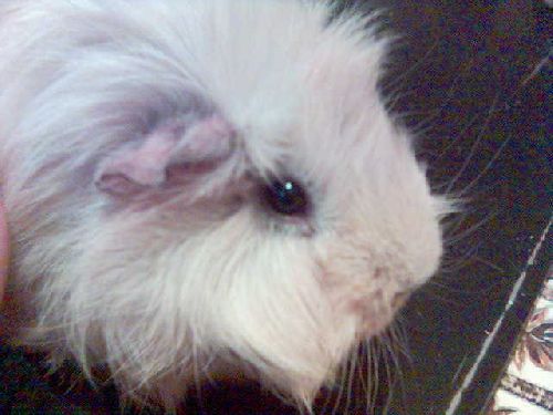 Min lilla söta Maris <3