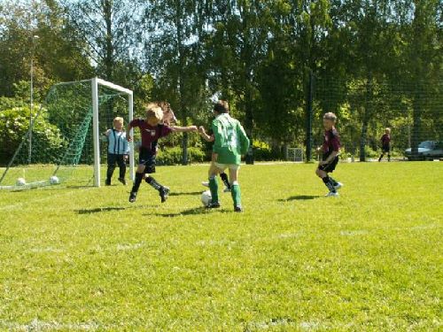 Bild av jagged