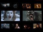 Bild av vampyrvargen93
