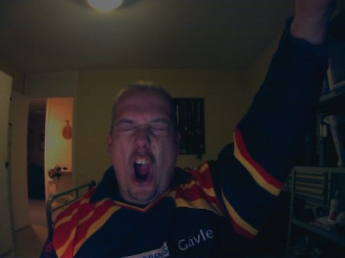 Brynäs gör mål