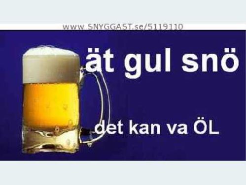 Bild av msncoolingen