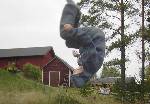 Bild av flame13