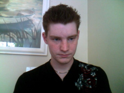 Bild av alsin