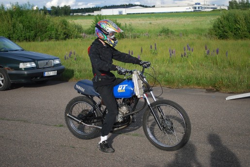 Bild av vongyllis