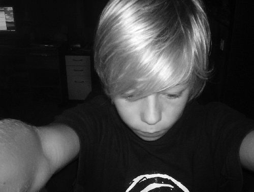 Bild av kimposs