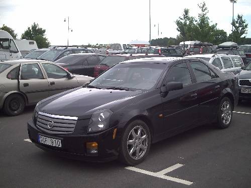nice caddi