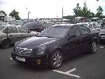 nice caddi