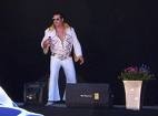 melvis