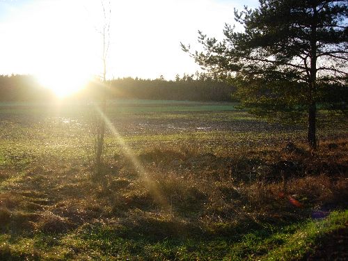 En naturlig bild