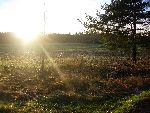 En naturlig bild