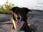Älskade Buster RIP
saknar dej