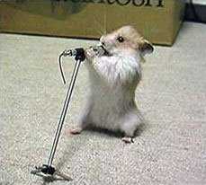 Han hade live konsert i mitt garage...