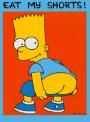 EAT MY SHORTS!