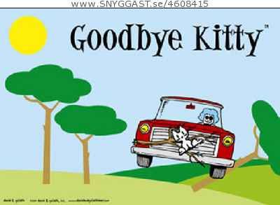 Goodbye kitty forever
