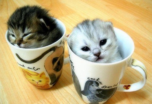 =)