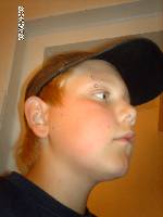 Bild av pontustobbis