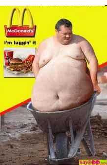 Bild av Tiger