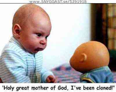 holly reat mother of god i bin clooned