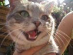 cleo ^^