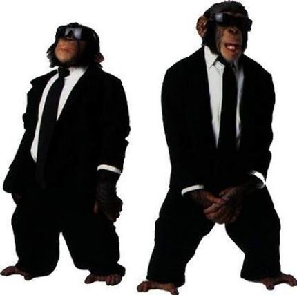 Monkeys in Black
