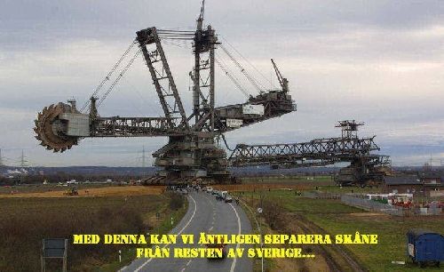 Bild av rege