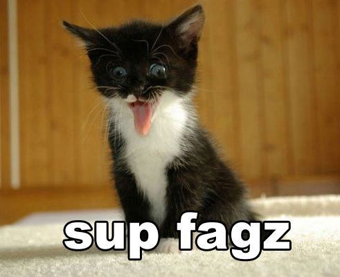 katt