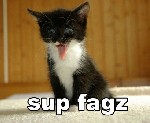 katt