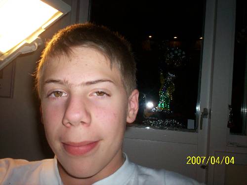 Bild av serebi