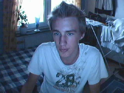 Bild av noid