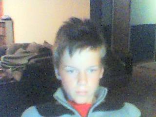 Bild av polly