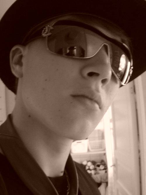 Bild av oliven8