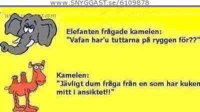 LoL^