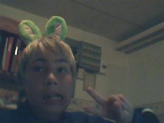 Bild av hamster02