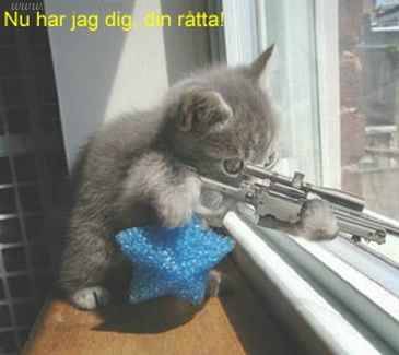 Bild av hawk94