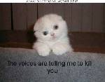 haha