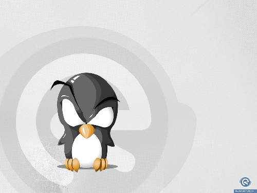 PINGU XD