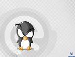 PINGU XD