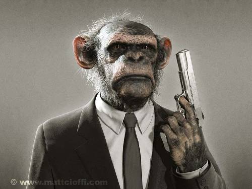Gangsta Chimp