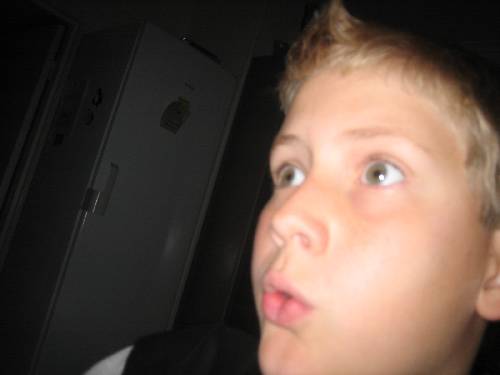 Bild av loxter