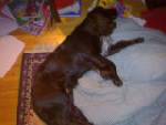 Bild av Mordbrand