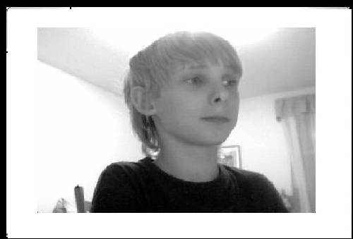 Bild av revliz