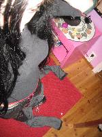 Nattlen :o