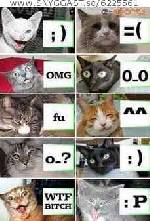 haha!kattsmileys!!!