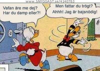 Bild av taekwondokille