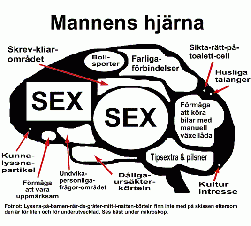 Mannens hjärna xD